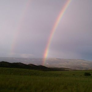 Meet your Posher, Johnathon